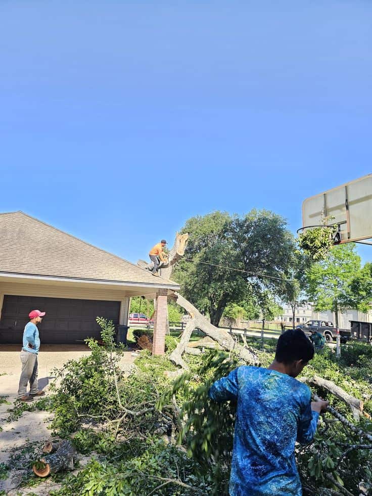 Columbia Tree & Lawn Service crew