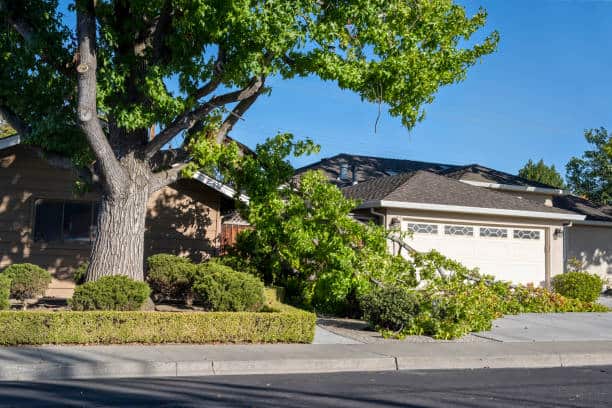 Emergency Storm Damage